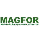 Magfor